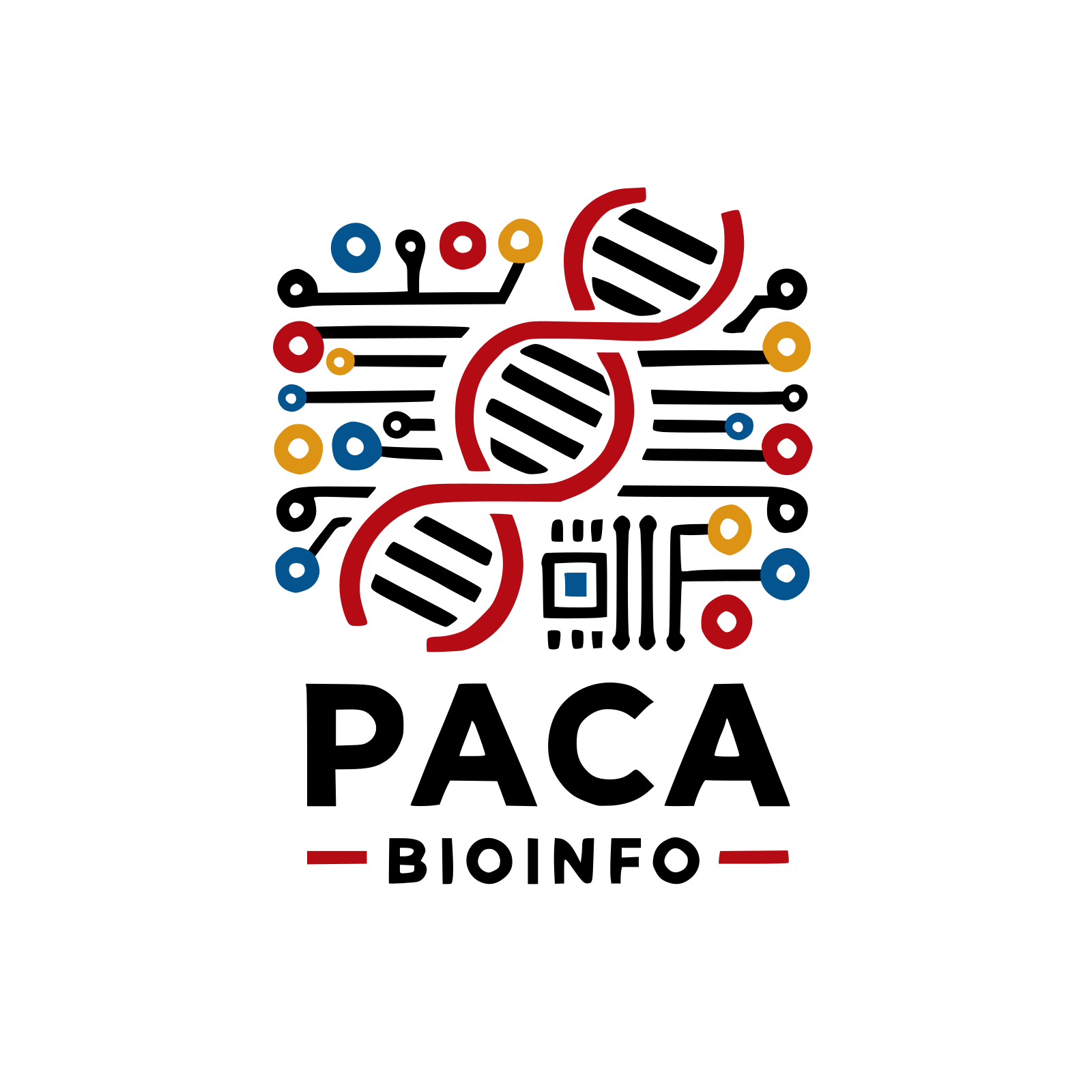 PacaBioinfo